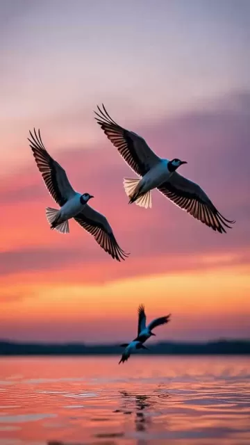 8 Stunning Migratory Birds You Picture