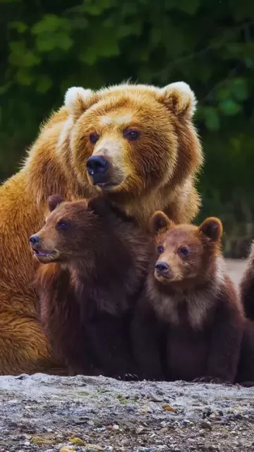 8 unique animals you see Picture