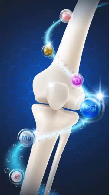 9 foods for bone repair Picture