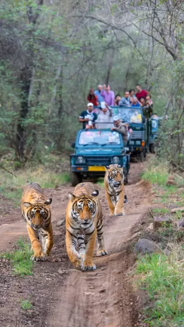 9 national parks with stunning Picture