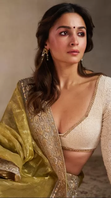 Alia Bhatt’s Saree Looks Steals Picture