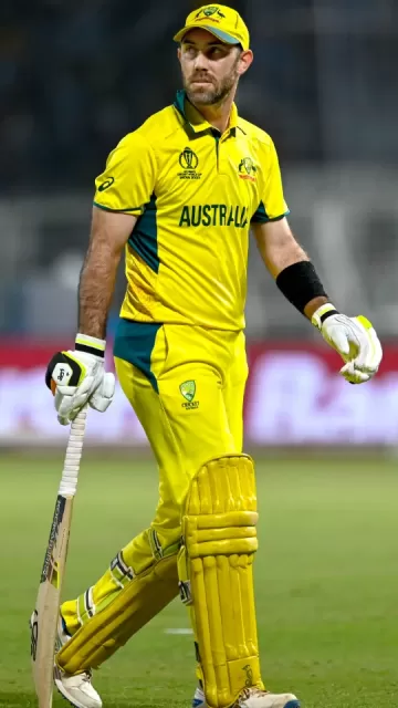 Australian cricketers who hit the Picture