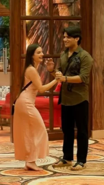 Bigg Boss 19: Mridul Tiwari Picture