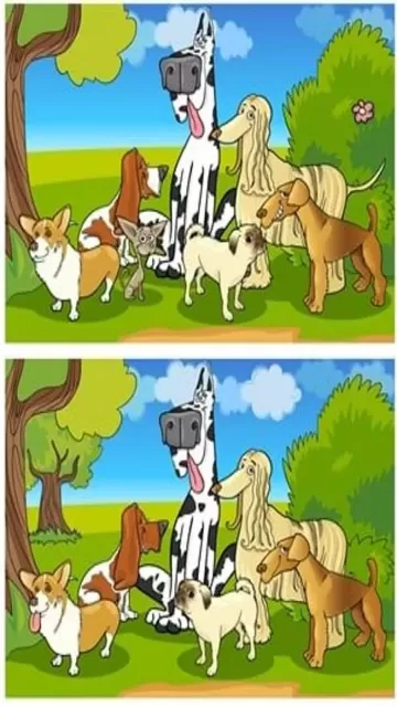Brain Teaser: Can You Identify Picture
