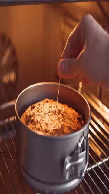 Christmas 2025: Vegan Plum Cake Picture