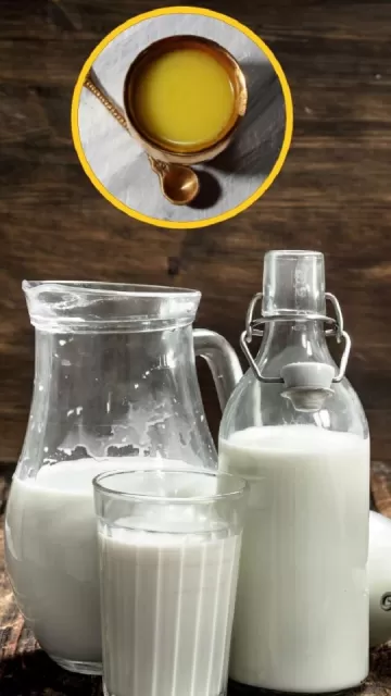 Consuming ghee with milk keeps Picture