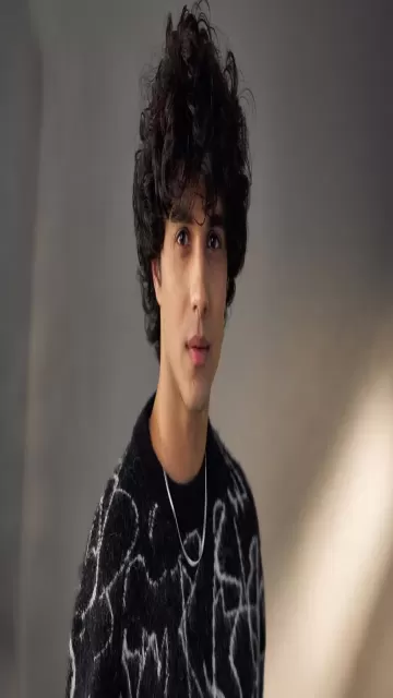 From Stree to Munjya: Best Picture