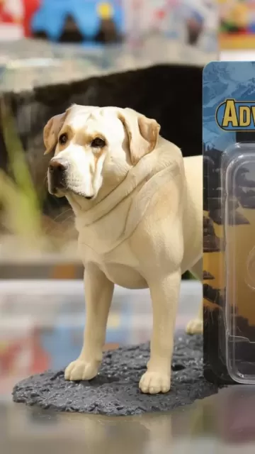 Gemini Nano Banana trend: Say Picture