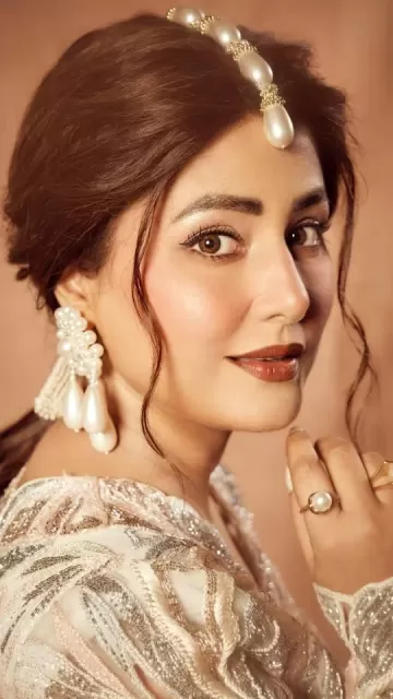 How did Hina Khan maintain Picture
