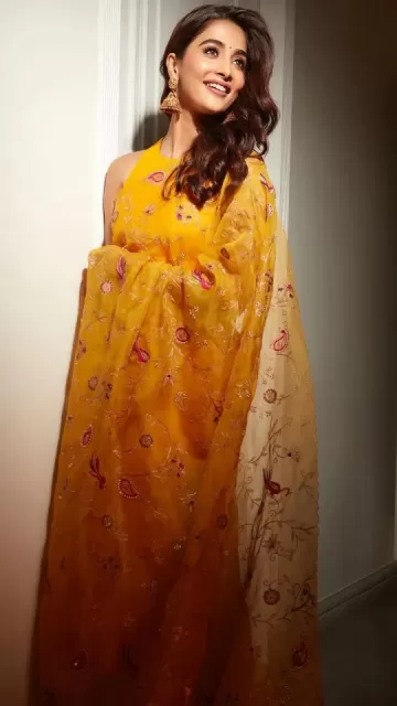 It is auspicious to wear Picture