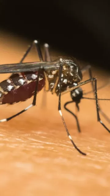 Learn about these dangerous myths Picture