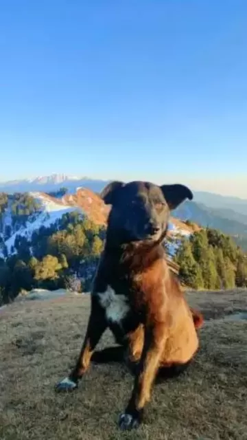 Love adventure ! Head to Picture