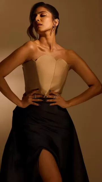 Malavika Mohanan stunning style moments Picture