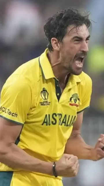 Mitchell Starc T20I आँकड़े: मैच, Picture