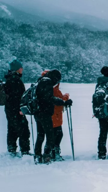 Planning a trip during the Picture