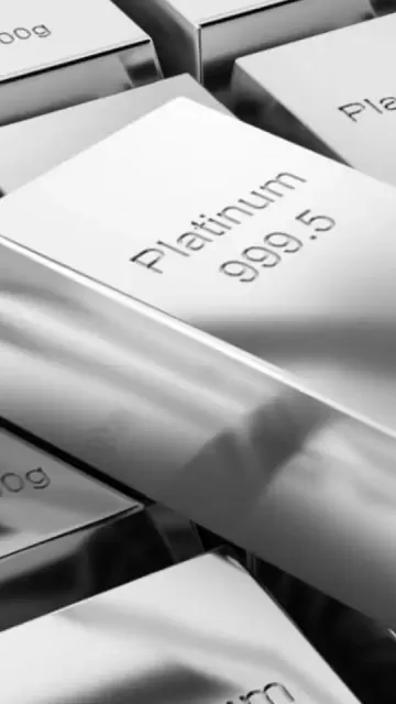 Platinum Rate Today in Your Picture