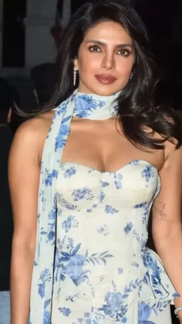 Priyanka Chopra stunned in the Picture