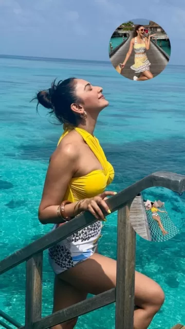 Rakul Preet's Hot & Bold Picture
