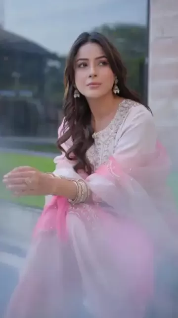 Shehnaaz Gill looked like a Picture