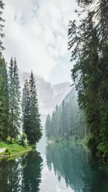 Top 5 Countries That Hold Picture