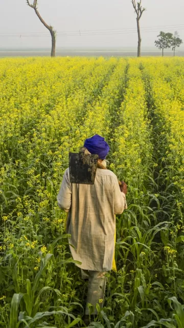 What benefits will the India-New Picture