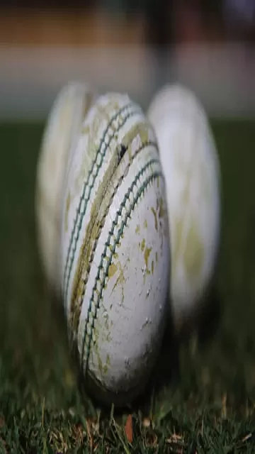 क्या है ODI वन-बॉल रूल? Picture