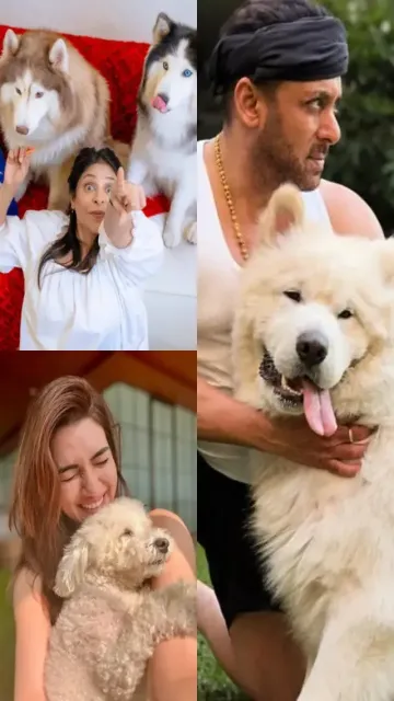 8 bollywood stars and their Picture