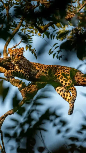 9 national parks with beautiful Picture