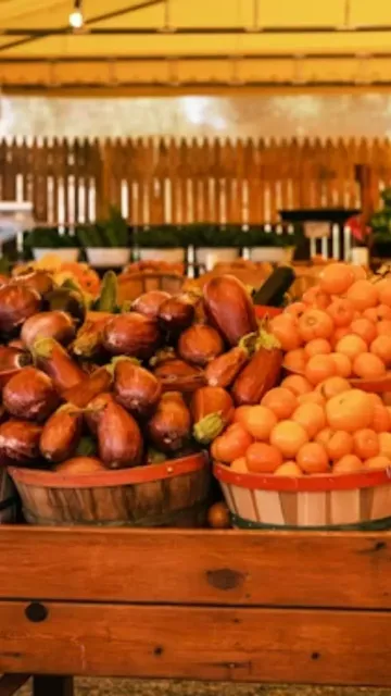 Beat the heat with these Picture