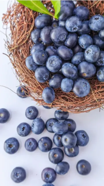 ब्लूबेरी: कैंसर से बचाव और Picture