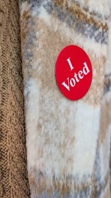 Celebrities turn up to vote Picture