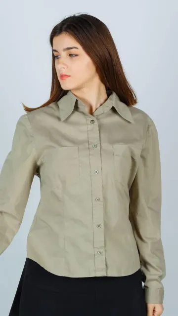 Classic Women's Office Wear Shirt Picture