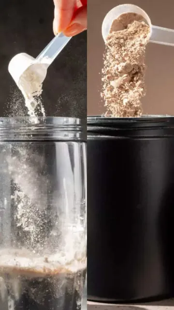 Creatine vs protein: which is Picture