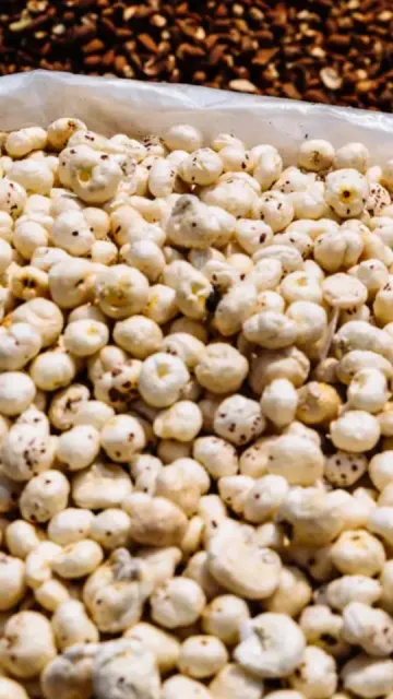 Eating white dry fruits with Picture