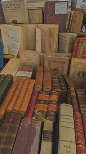 Essential New Poetry Collections to Picture