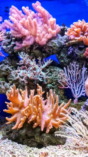 Explore the World’s Most Stunning Picture