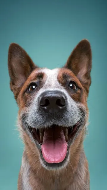 Exploring the Astrological Significance of Picture