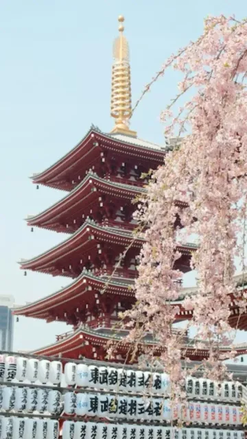 Have you visited any of Picture