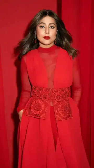 Hina Khan gave amazing poses Picture