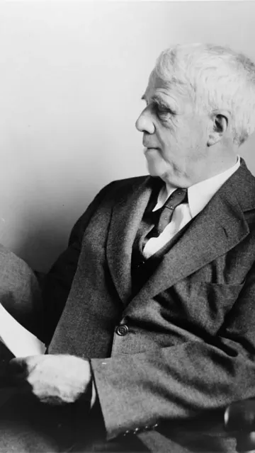 If You Like Robert Frost, Picture