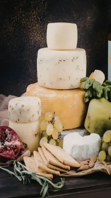 Meet the 4 Indian cheeses Picture