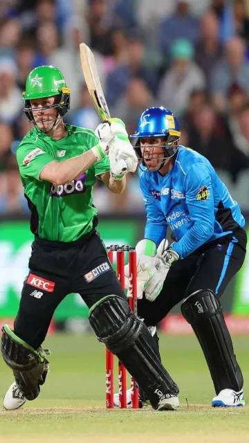 Most runs in Big bash Picture