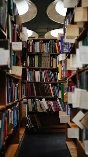 Niche Books That Will Change Picture