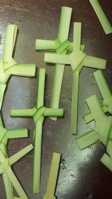 Palm Sunday 2026: Here are Picture