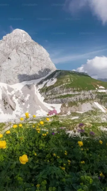 Passport to Spring: 8 Must-Visit Picture