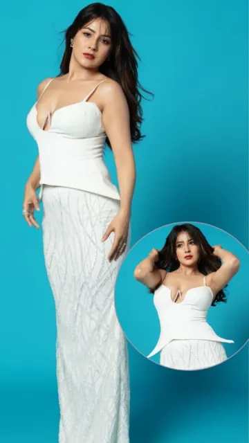 Shehnaaz Gill Stuns in Hot Picture