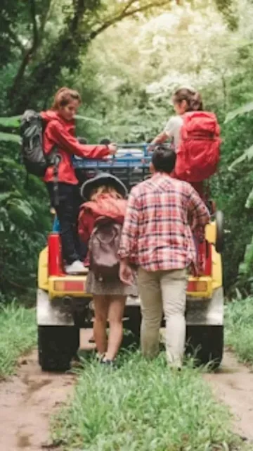 The Best Jungle Safaris for Picture