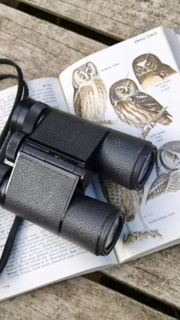 The Best Places in India Picture