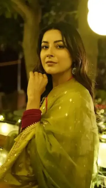 These 7 photos of Shehnaaz Picture