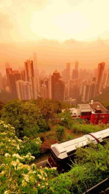 These are the 5 most Picture